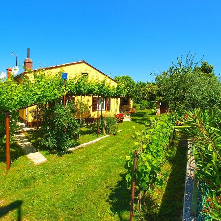 House 1037 Villa Fažana Dış mekan fotoğraf