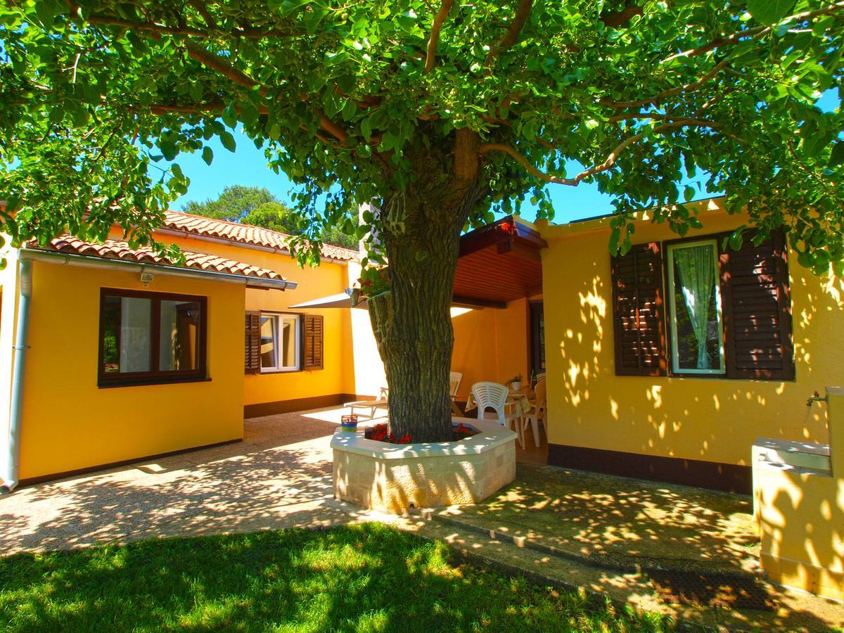 House 1037 Villa Fažana Dış mekan fotoğraf