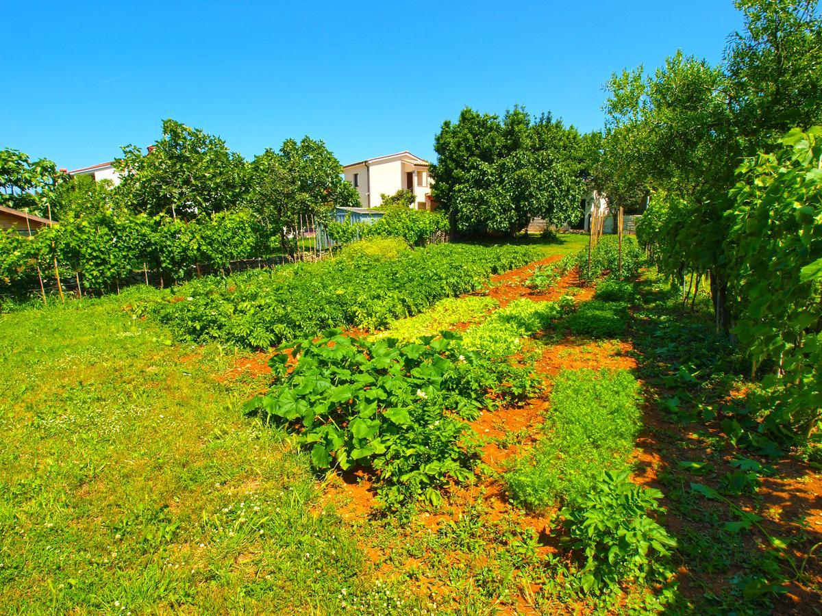 House 1037 Villa Fažana Dış mekan fotoğraf